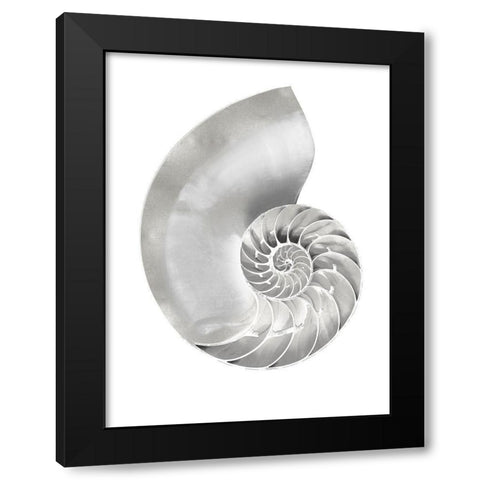 Silver Pearl Shell II Black Modern Wood Framed Art Print by Kelly, Caroline