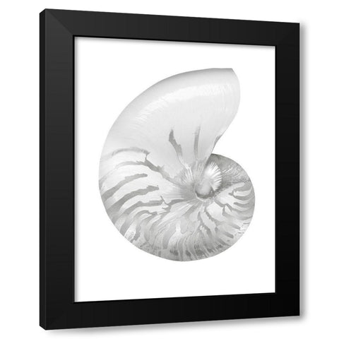 Silver Pearl Shell III Black Modern Wood Framed Art Print with Double Matting by Kelly, Caroline