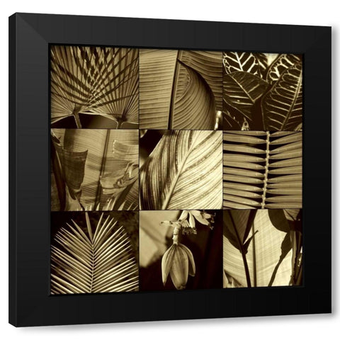 Tropical Leaves I Black Modern Wood Framed Art Print by Kelly, Caroline