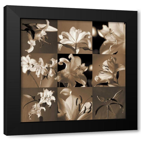 Lily Garden Black Modern Wood Framed Art Print with Double Matting by Kelly, Caroline