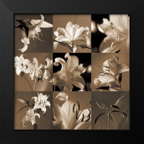 Lily Garden Black Modern Wood Framed Art Print by Kelly, Caroline