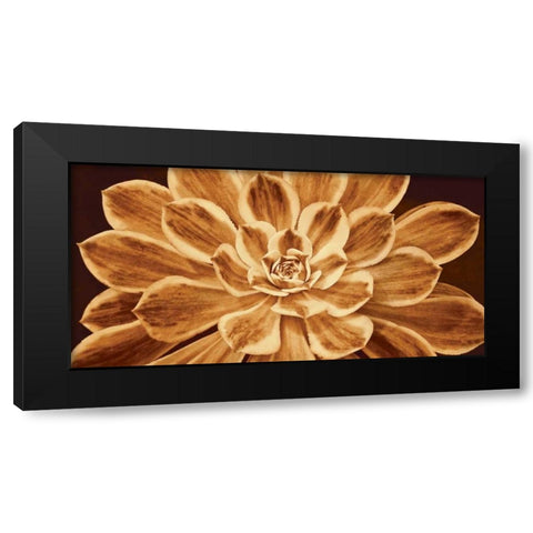 Sedona Black Modern Wood Framed Art Print by Kelly, Caroline