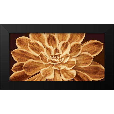 Sedona Black Modern Wood Framed Art Print by Kelly, Caroline