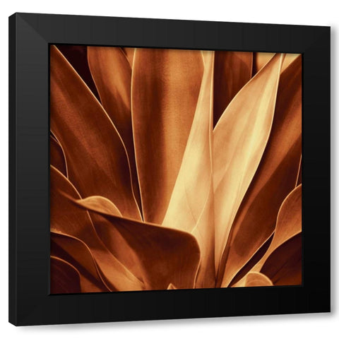 Santa Fe I Black Modern Wood Framed Art Print with Double Matting by Kelly, Caroline