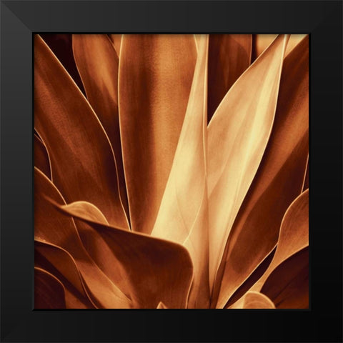 Santa Fe I Black Modern Wood Framed Art Print by Kelly, Caroline