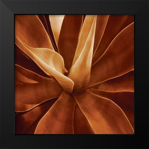 Santa Fe II Black Modern Wood Framed Art Print by Kelly, Caroline