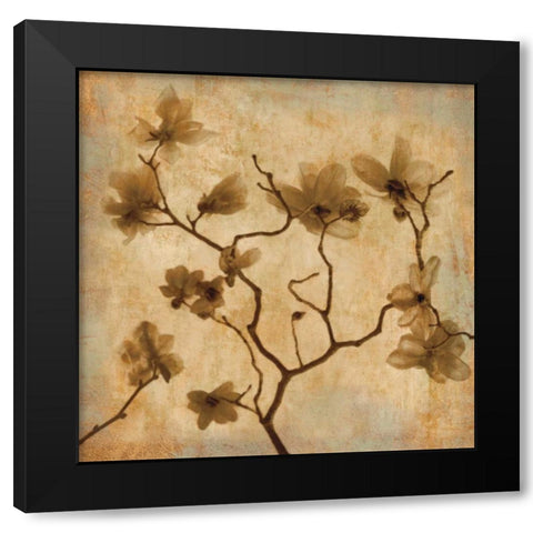 Magnolias I Black Modern Wood Framed Art Print by Kelly, Caroline