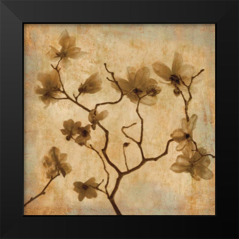 Magnolias I Black Modern Wood Framed Art Print by Kelly, Caroline