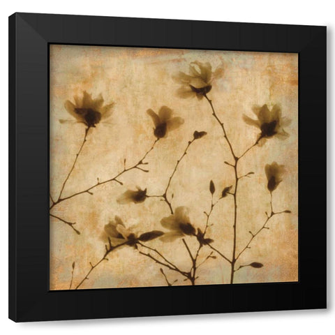 Magnolias II Black Modern Wood Framed Art Print with Double Matting by Kelly, Caroline