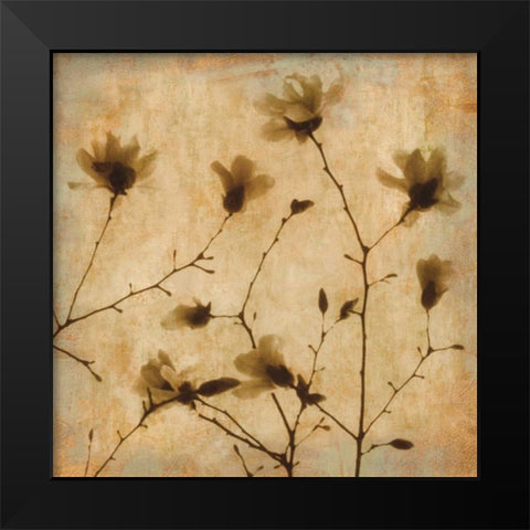 Magnolias II Black Modern Wood Framed Art Print by Kelly, Caroline