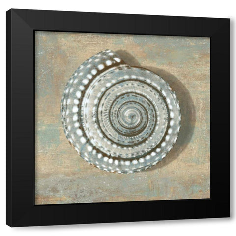 Aqua Seashell Black Modern Wood Framed Art Print with Double Matting by Kelly, Caroline
