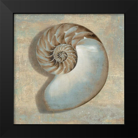 Aqua Nautilus Black Modern Wood Framed Art Print by Kelly, Caroline