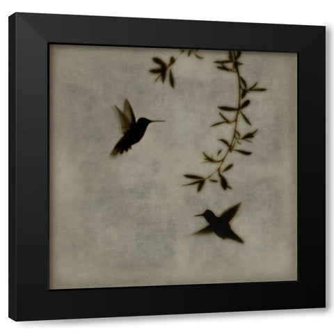 Dance in Flight I Black Modern Wood Framed Art Print with Double Matting by Donovan, Chris