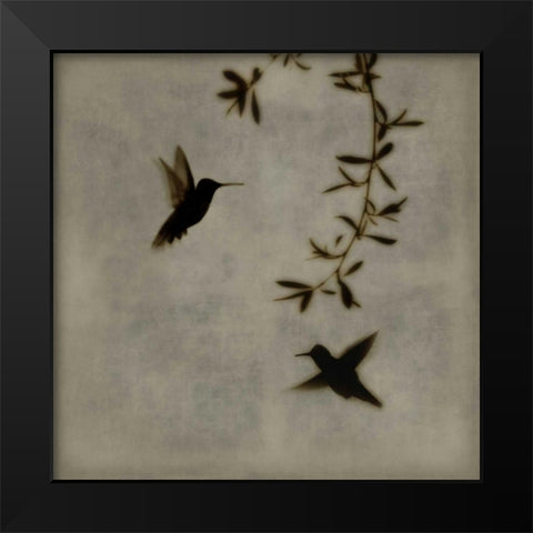 Dance in Flight I Black Modern Wood Framed Art Print by Donovan, Chris