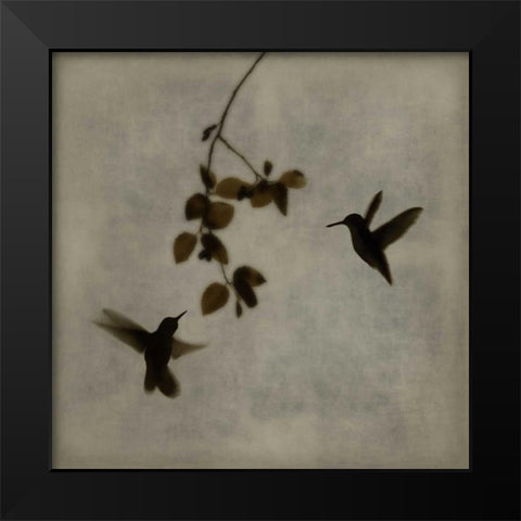 Dance in Flight II Black Modern Wood Framed Art Print by Donovan, Chris
