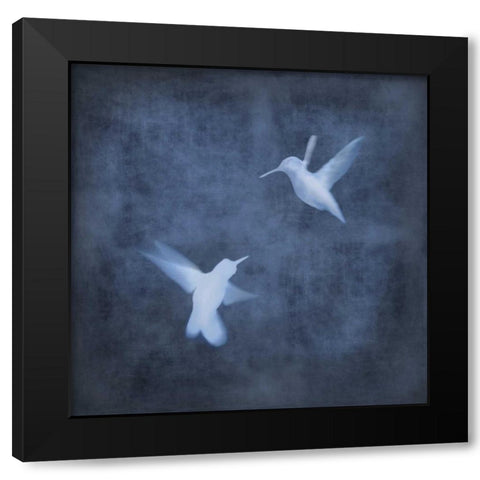 Flight in Blue I Black Modern Wood Framed Art Print by Donovan, Chris