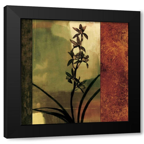 Mesmerized I Black Modern Wood Framed Art Print by Donovan, Chris