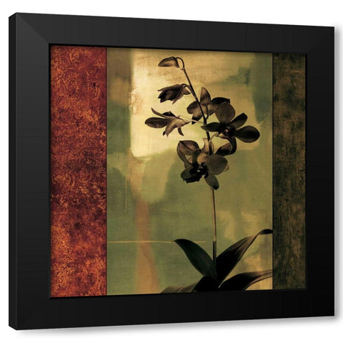 Mesmerized II Black Modern Wood Framed Art Print by Donovan, Chris