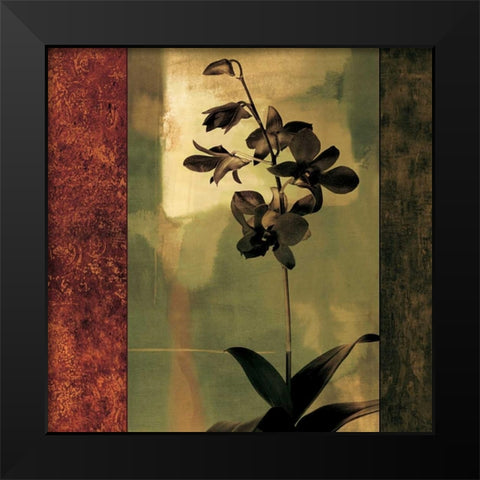 Mesmerized II Black Modern Wood Framed Art Print by Donovan, Chris