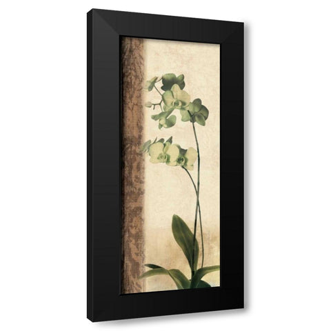 Dreamweaver I Black Modern Wood Framed Art Print by Donovan, Chris