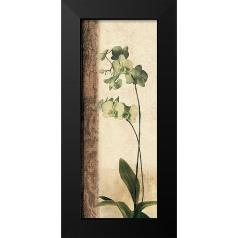 Dreamweaver I Black Modern Wood Framed Art Print by Donovan, Chris