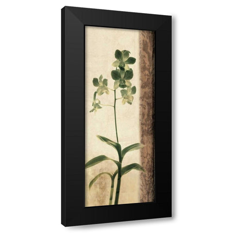 Dreamweaver II Black Modern Wood Framed Art Print by Donovan, Chris