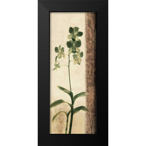 Dreamweaver II Black Modern Wood Framed Art Print by Donovan, Chris