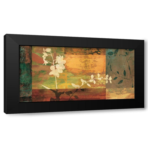 Shambala II Black Modern Wood Framed Art Print by Donovan, Chris