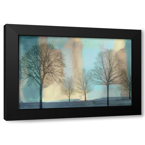 Misty Morning I Black Modern Wood Framed Art Print by Donovan, Chris