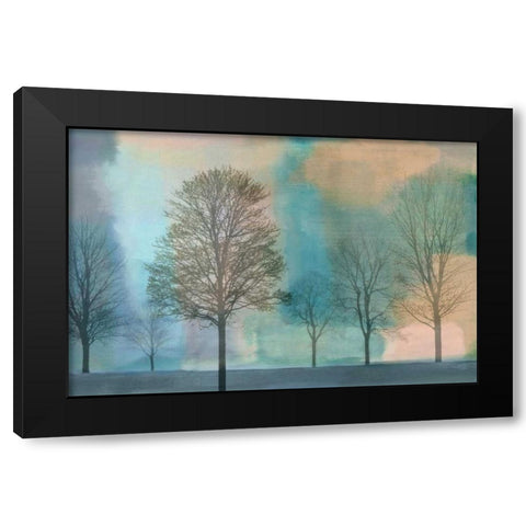 Misty Morning II Black Modern Wood Framed Art Print with Double Matting by Donovan, Chris