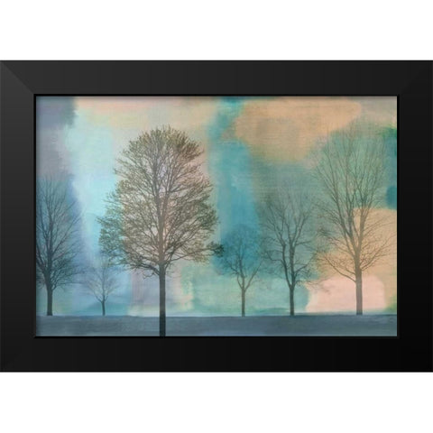 Misty Morning II Black Modern Wood Framed Art Print by Donovan, Chris