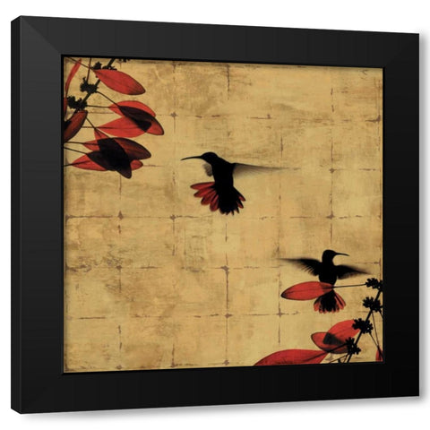 Colibri I Black Modern Wood Framed Art Print with Double Matting by Donovan, Chris