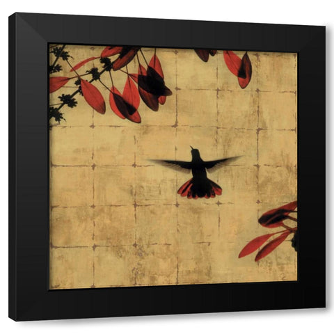 Colibri II Black Modern Wood Framed Art Print with Double Matting by Donovan, Chris