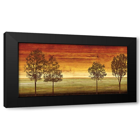 Sunset Vista II Black Modern Wood Framed Art Print with Double Matting by Donovan, Chris