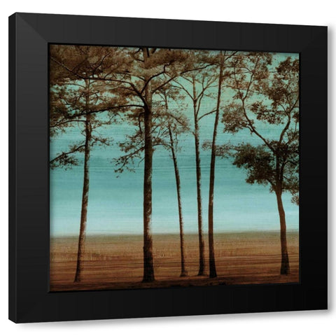Azure I Black Modern Wood Framed Art Print by Donovan, Chris