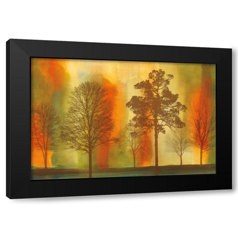 Sunset I Black Modern Wood Framed Art Print with Double Matting by Donovan, Chris