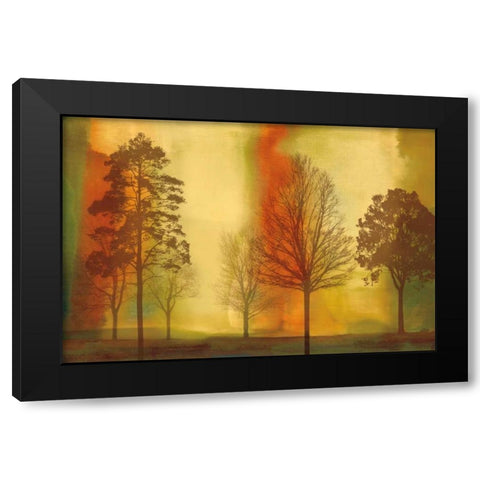 Sunset II Black Modern Wood Framed Art Print with Double Matting by Donovan, Chris
