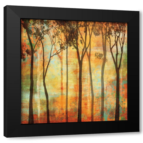 Magical Forest I Black Modern Wood Framed Art Print by Donovan, Chris