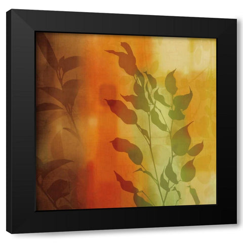 Natures Glow I Black Modern Wood Framed Art Print with Double Matting by Donovan, Chris