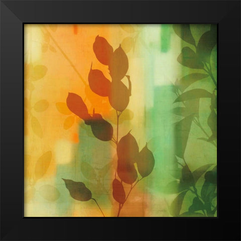 Natures Glow II Black Modern Wood Framed Art Print by Donovan, Chris