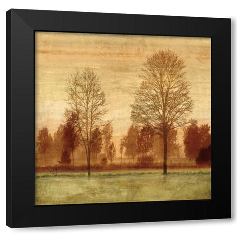 Golden Sunrise I Black Modern Wood Framed Art Print by Donovan, Chris