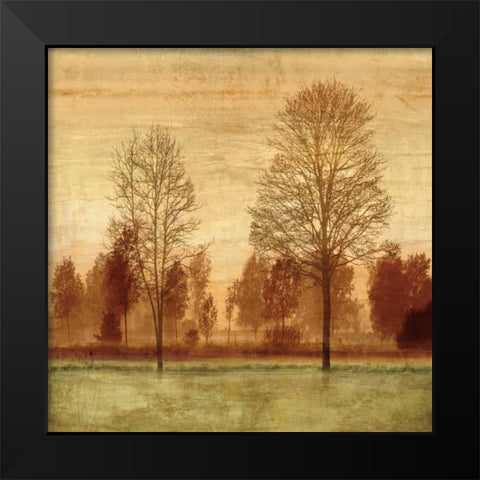 Golden Sunrise I Black Modern Wood Framed Art Print by Donovan, Chris