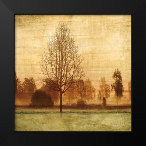 Golden Sunrise II Black Modern Wood Framed Art Print by Donovan, Chris