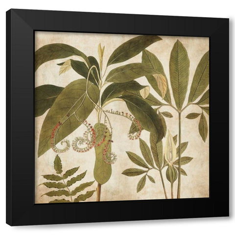 Palm Persuasion I Black Modern Wood Framed Art Print with Double Matting by Donovan, Chris