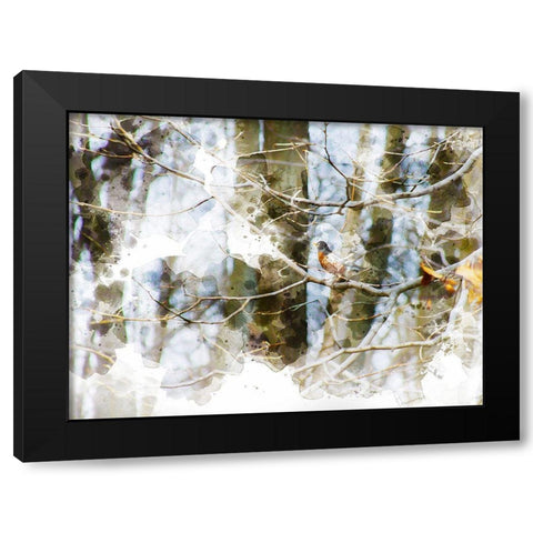 Lost Bird II  Black Modern Wood Framed Art Print with Double Matting by Young, Chamira