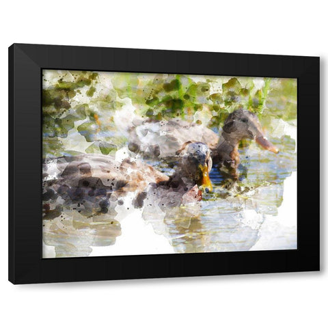 Ducks in Float I Black Modern Wood Framed Art Print by Young, Chamira