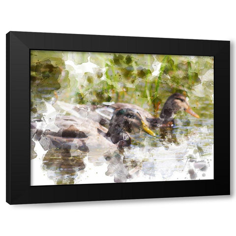 Ducks in Float II Black Modern Wood Framed Art Print by Young, Chamira
