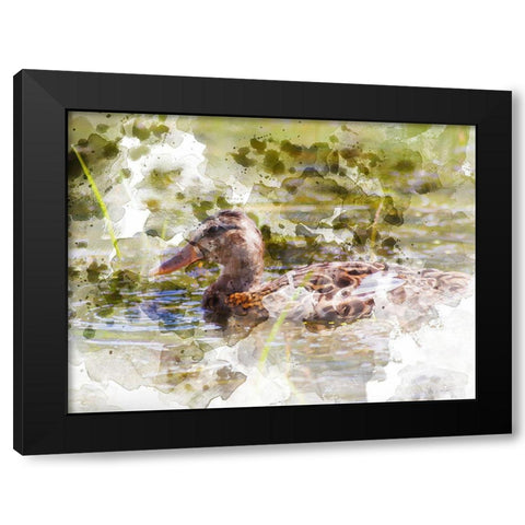 Ducks in Float III Black Modern Wood Framed Art Print by Young, Chamira