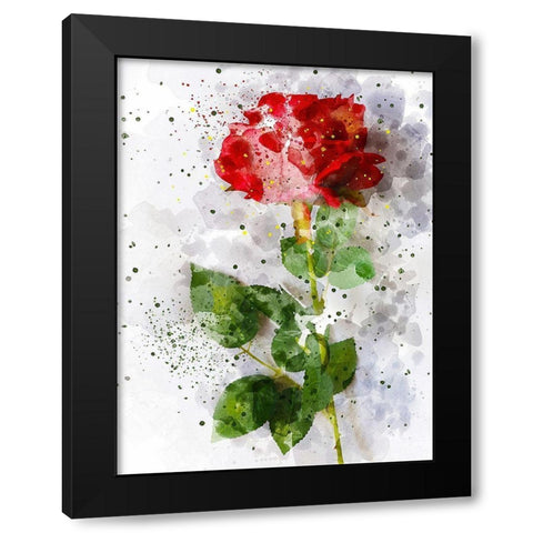 Rose in Bloom Black Modern Wood Framed Art Print by Young, Chamira