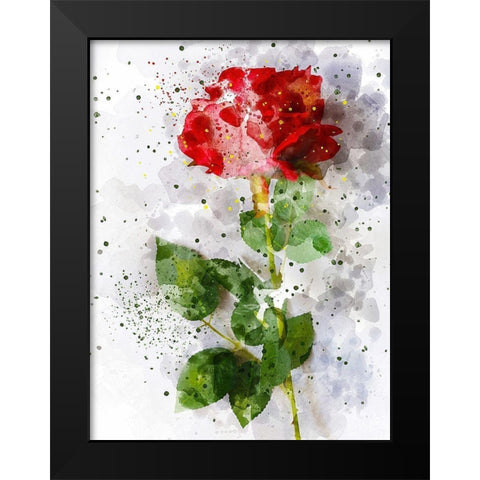 Rose in Bloom Black Modern Wood Framed Art Print by Young, Chamira
